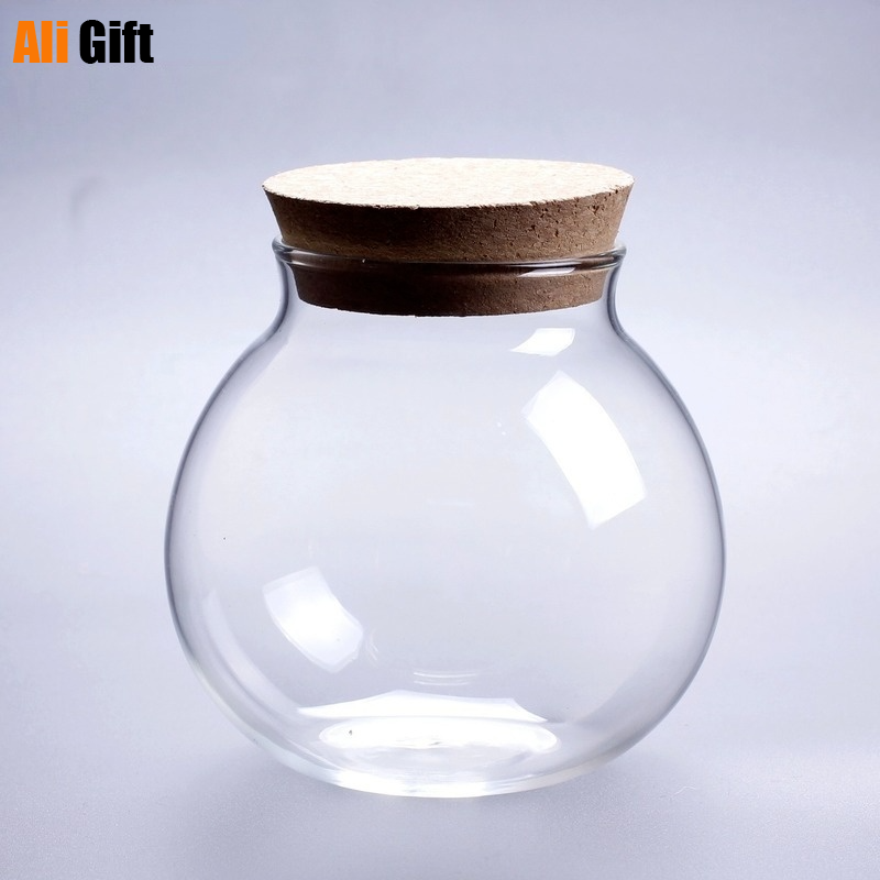 ZAKKA Glass Terrarium Jar with Wooden Lid – Moss Ball Micro Landscape Vase 1000/1800ml